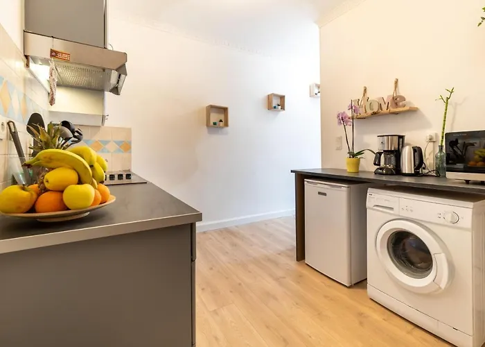 Air-conditioned Flat With Terrace - Private & Independent - Lourdes